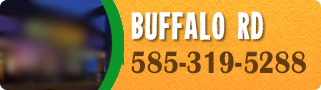 buffalo